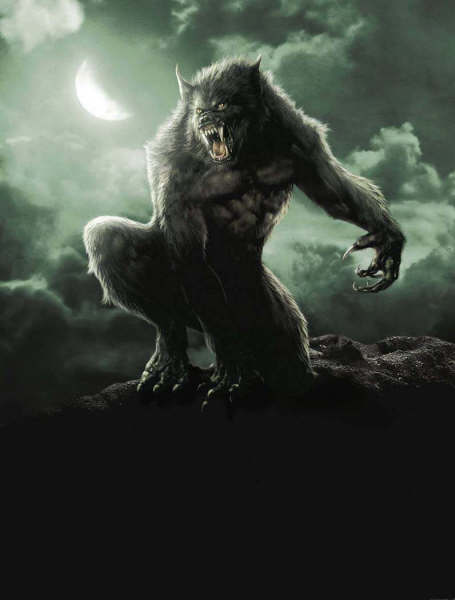vlkodlak15